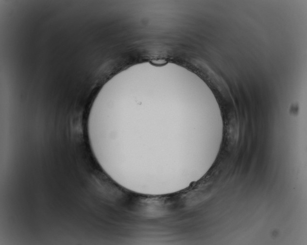 X0000103330516200809261204