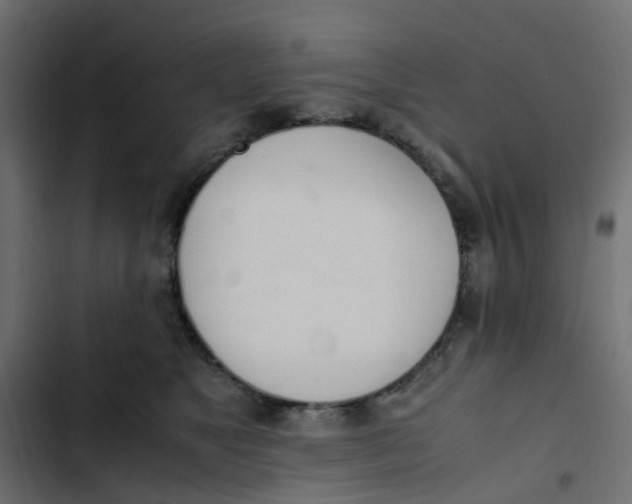 X0000103330517200809261204