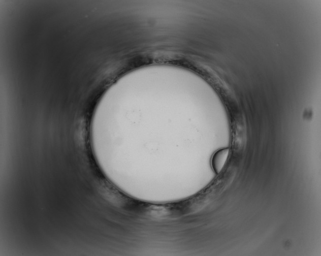 X0000103330519200809261204