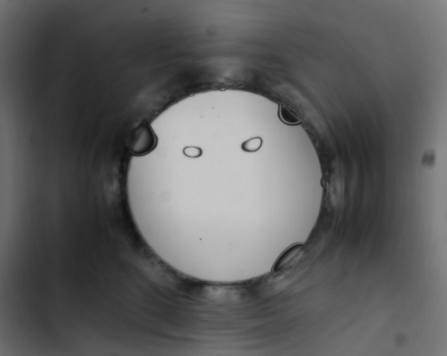 X0000103330520200809261204