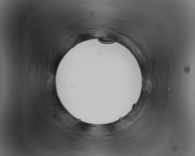 X0000103330521200809261204