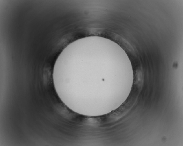 X0000103330522200809261204