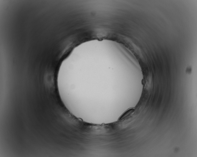 X0000103330524200809261204