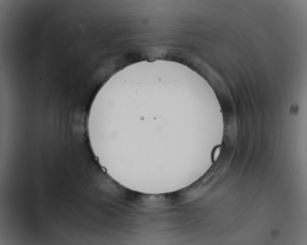 X0000103330525200809261204