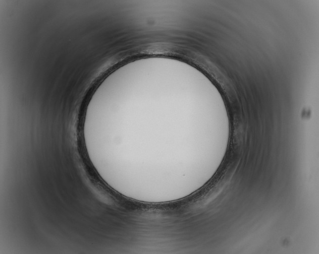 X0000103330530200809261203