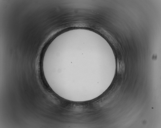 X0000103330531200809261203