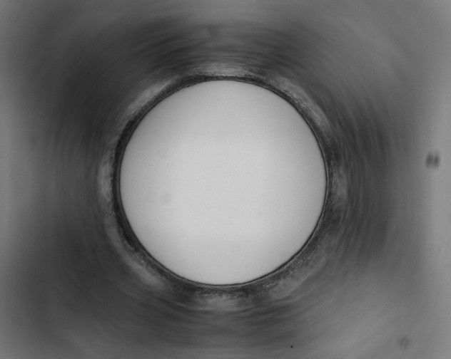 X0000103330533200809261203