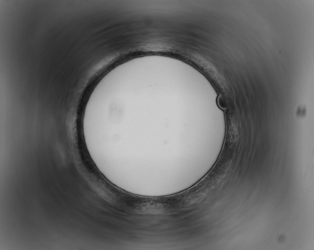 X0000103330535200809261203