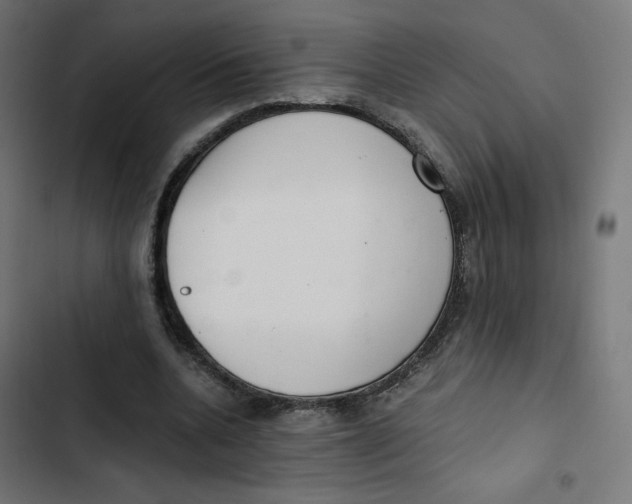 X0000103330536200809261203