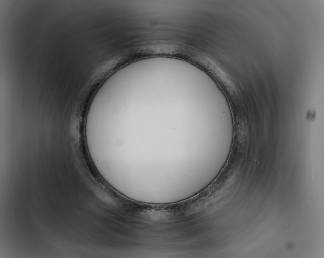 X0000103330537200809261203