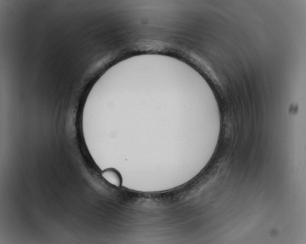 X0000103330538200809261203