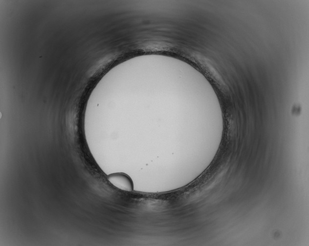 X0000103330539200809261203