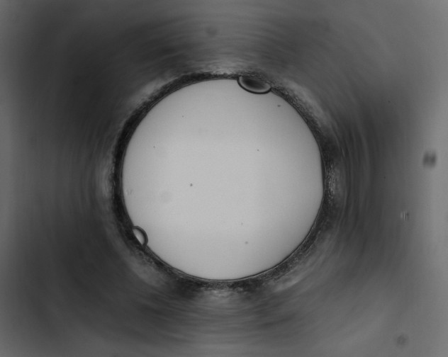 X0000103330540200809261203