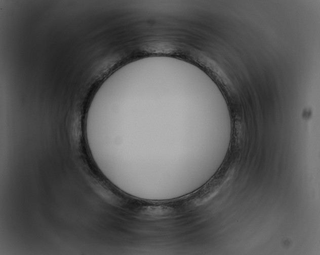 X0000103330541200809261203