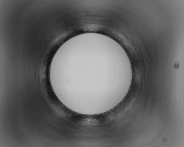 X0000103330543200809261203