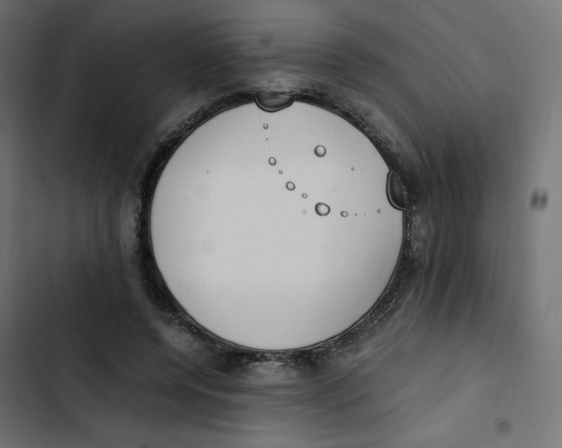 X0000103330544200809261203