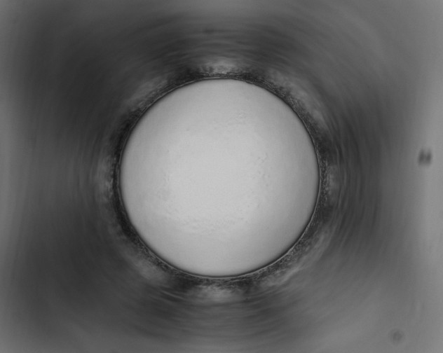 X0000103330545200809261203