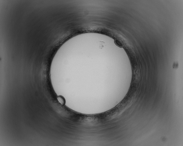 X0000103330546200809261203