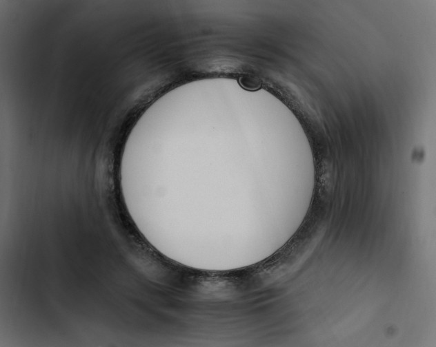 X0000103330547200809261203