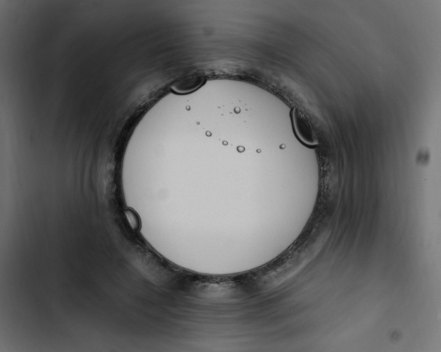 X0000103330548200809261203