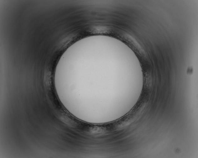 X0000103330549200809261203