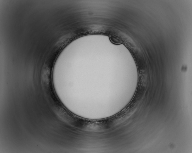 X0000103330550200809261203