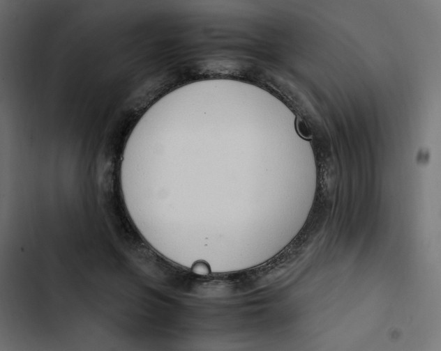 X0000103330551200809261203