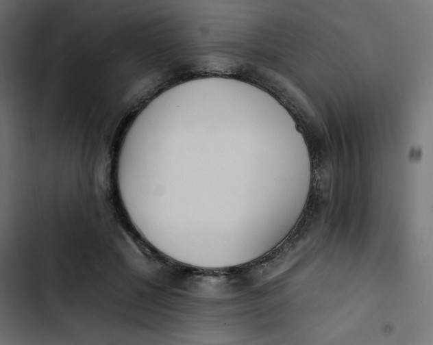 X0000103330552200809261203