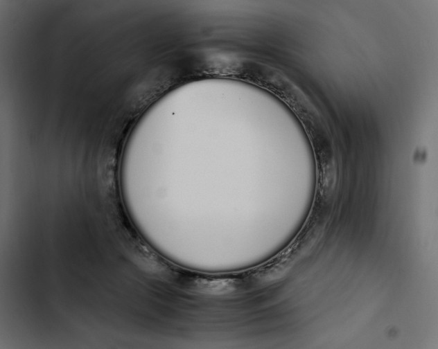 X0000103330553200809261203