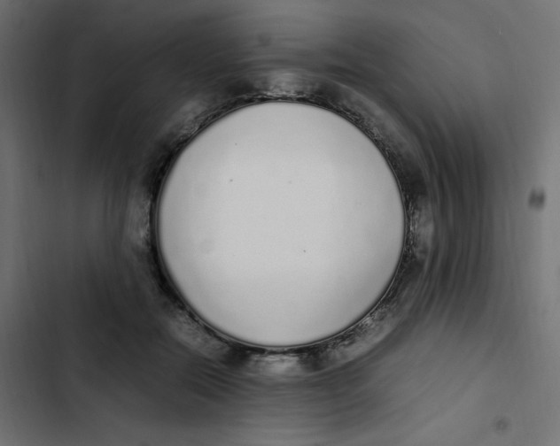 X0000103330554200809261203