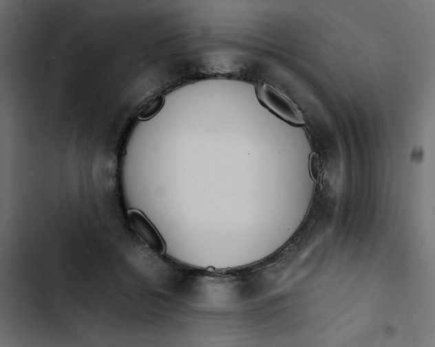 X0000103330556200809261203