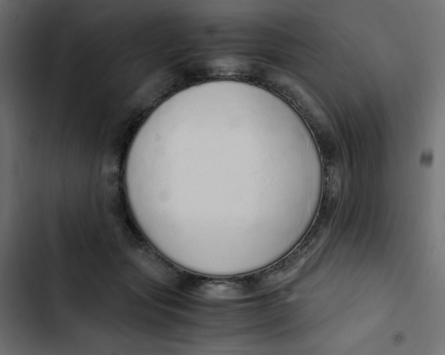 X0000103330557200809261203