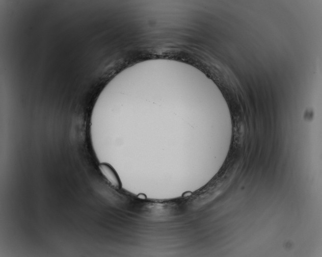 X0000103330558200809261203