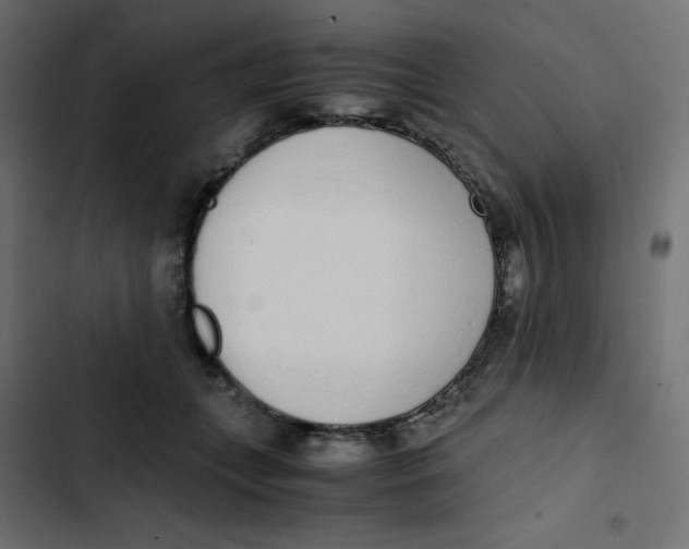 X0000103330559200809261203