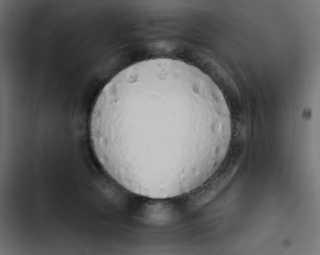 X0000103330561200809261203