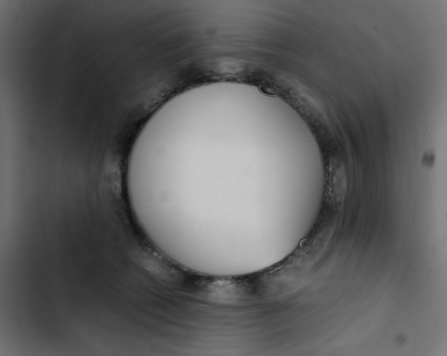 X0000103330562200809261203