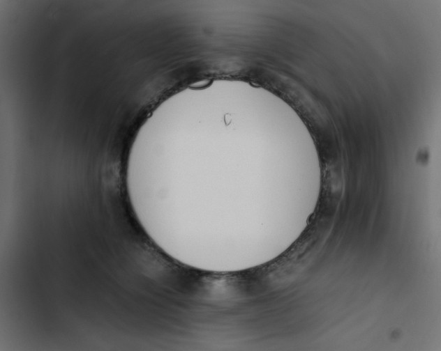 X0000103330564200809261203