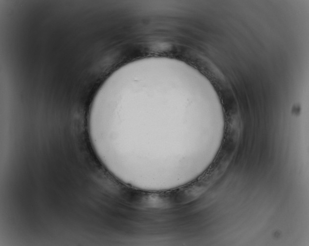 X0000103330565200809261203