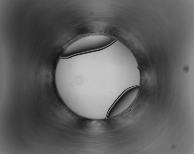 X0000103330566200809261203