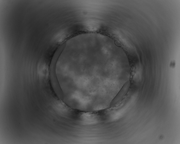 X0000103330568200809261203