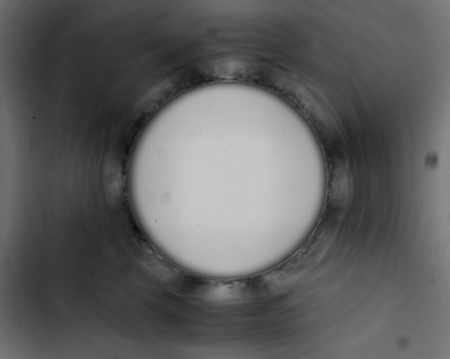 X0000103330569200809261203