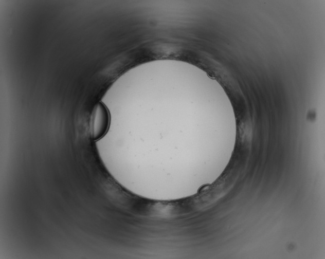 X0000103330570200809261203