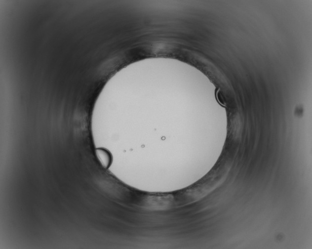 X0000103330571200809261204