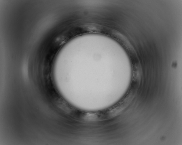 X0000103330573200809261204