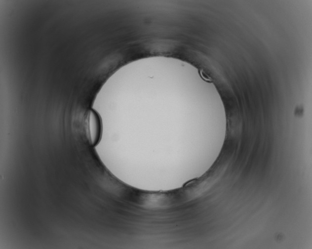 X0000103330575200809261204