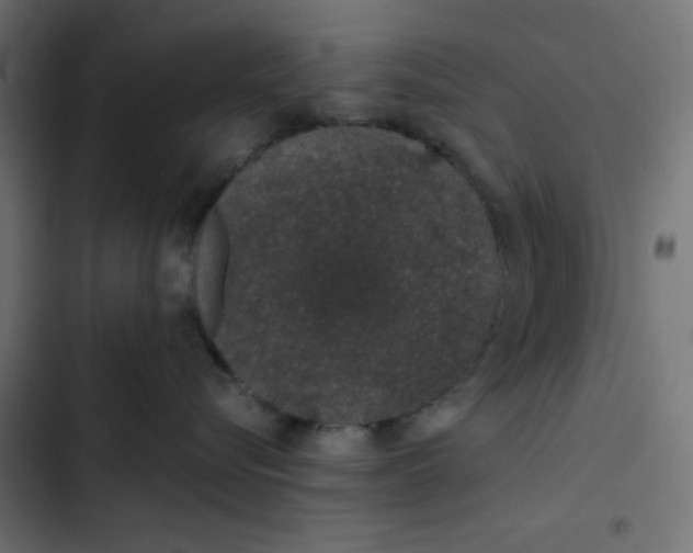 X0000103330576200809261204