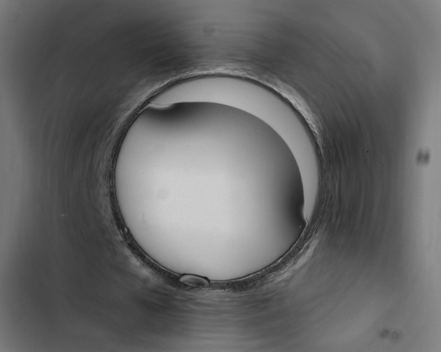 X0000103330577200809261203