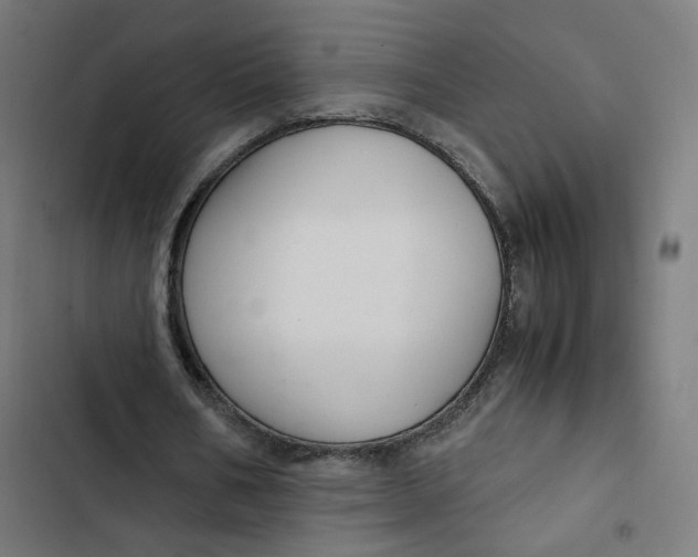 X0000103330578200809261203