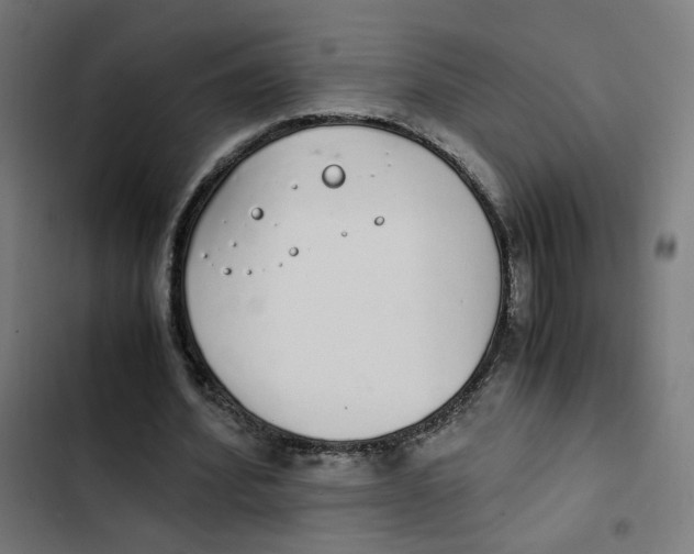 X0000103330580200809261203