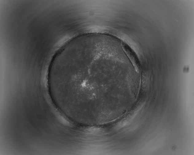 X0000103330581200809261203